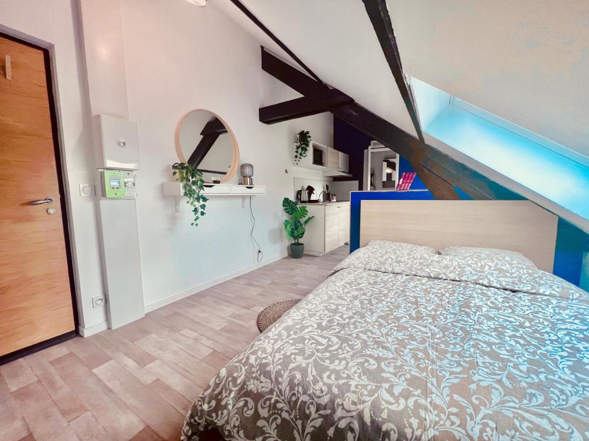 Les Studios De La Villa Jules Verne Αμιάν Εξωτερικό φωτογραφία